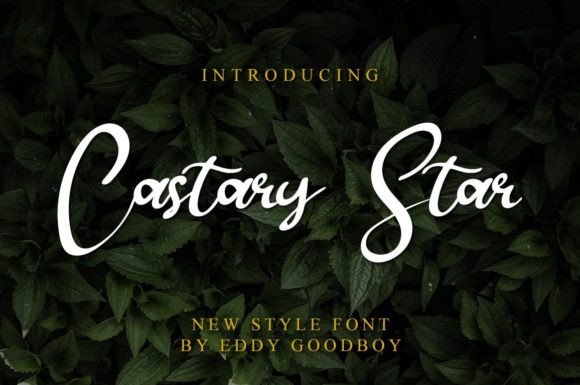 Castary Star Font: A Joyful Typeface for Digital Design