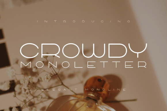 Crowdy Monoletter: A Simple Font with a Big Impact on Branding