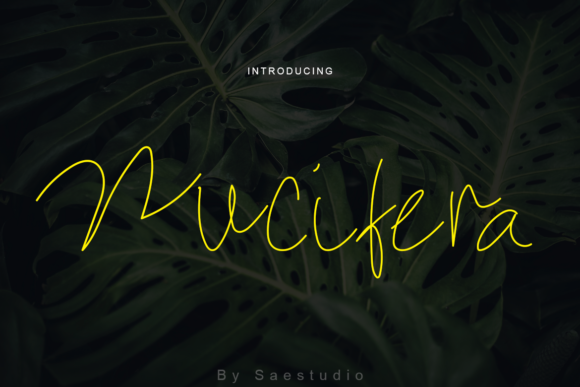 Nucifera Font: A Delicate Script for Memorable Branding