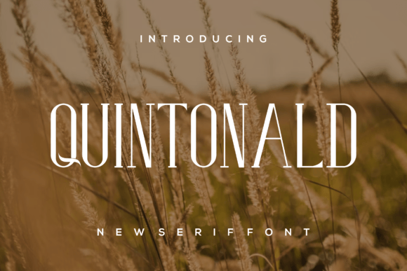 Quintonald Font: Stylish Serif for Crafters and Designers