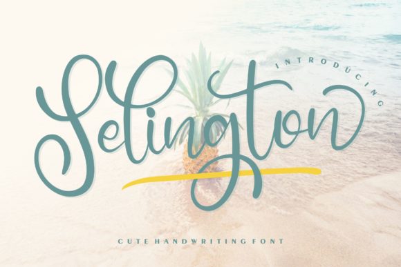 Selington: A Handwritten Font That Elevates Your Brand Identity