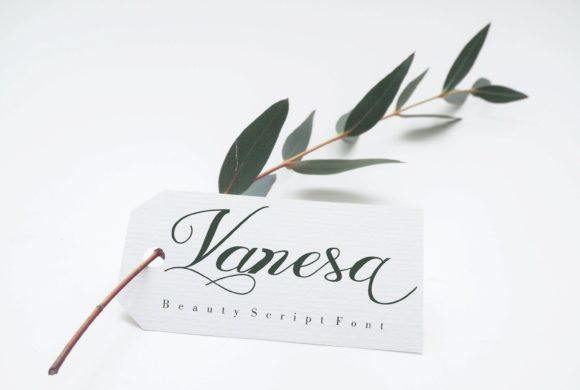 Vanesa Font: Elevate Your Brand with Handwritten Elegance