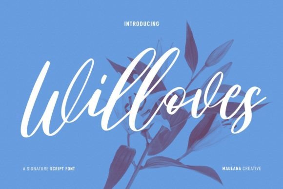 Willoves Font: Elevate Your Brand with Elegance
